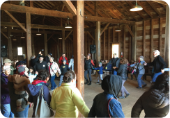 Square Dancers